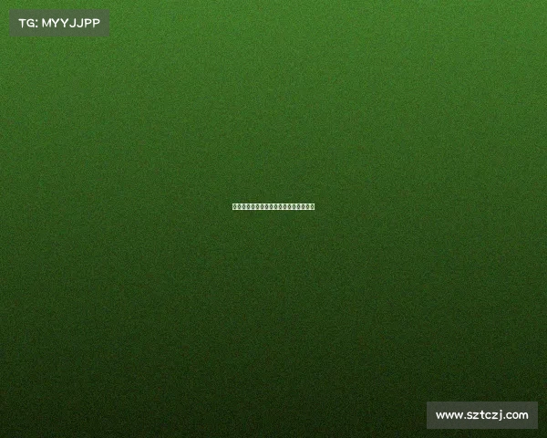 网球赛场精彩解析：比赛专家的深度点评